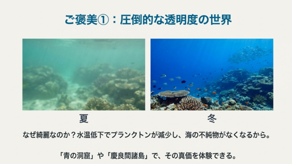 透明度が高い青の洞窟や慶良間の魅力