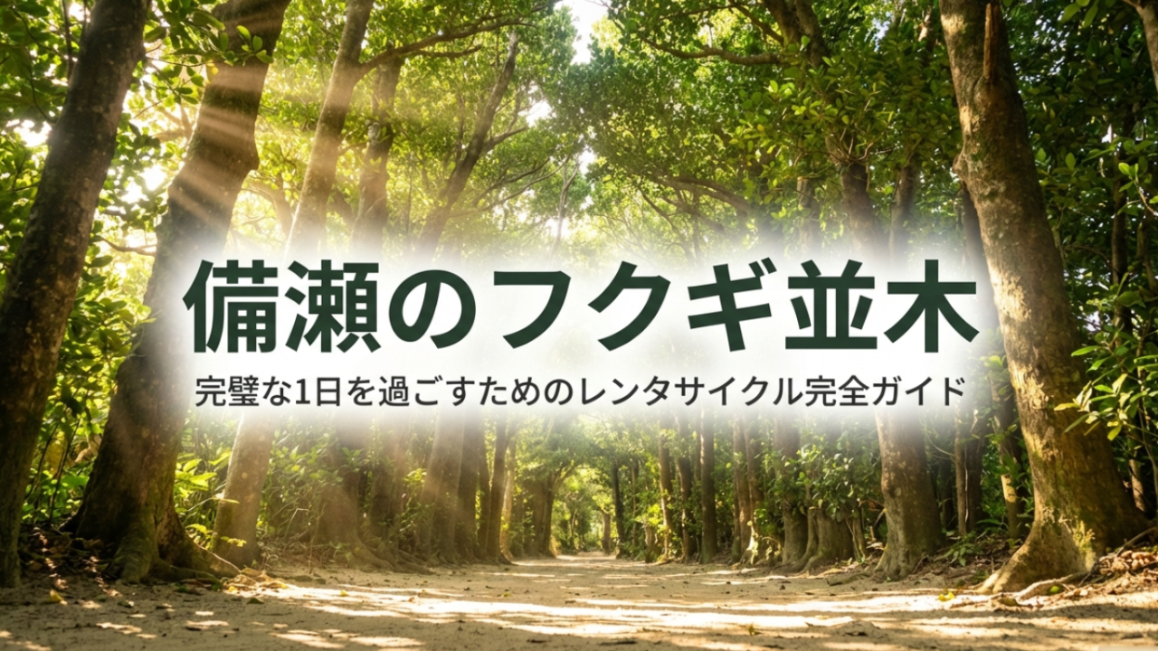 【2026年版】フクギ並木レンタサイクル予約！電動や駐車場も徹底ガイド