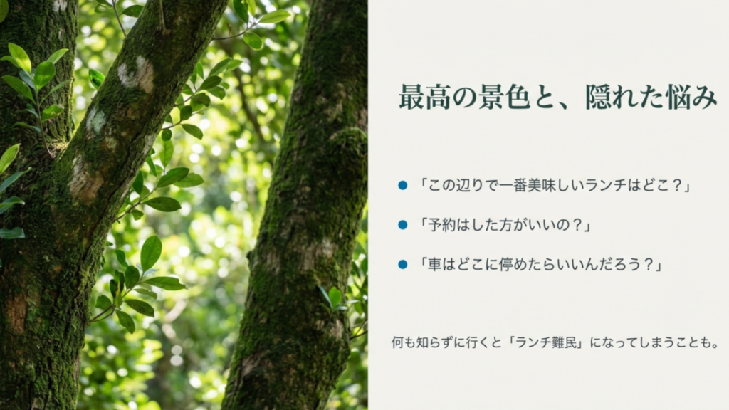 フクギ並木 ご飯 ランチ 駐車場 悩み 疑問