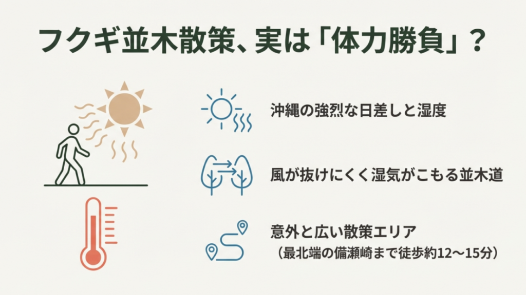 沖縄の備瀬フクギ並木でレンタサイクルを楽しむイメージと、暑さ対策や移動手段の悩みを解決するガイド
