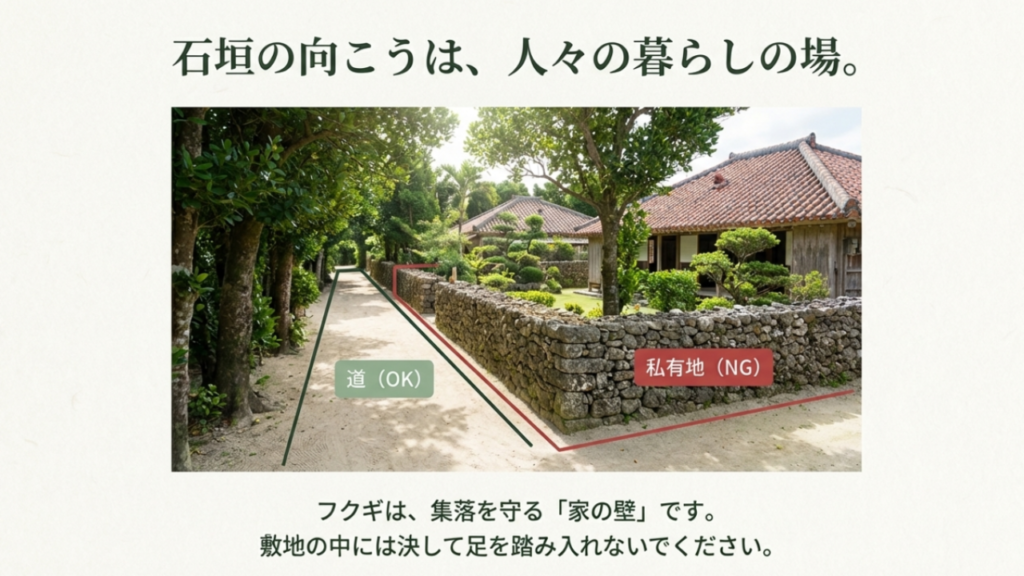 フクギ並木の公道と私有地の境界線を示した図解。石垣の内側や屋敷林の中は立ち入り禁止エリア。