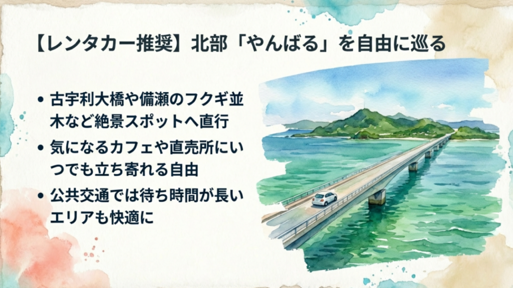 沖縄観光でレンタカーが必要か?車なし移動の最新事情2026 3 北部やんばる周遊にはレンタカーがおすすめ。古宇利島や備瀬のフクギ並木へ