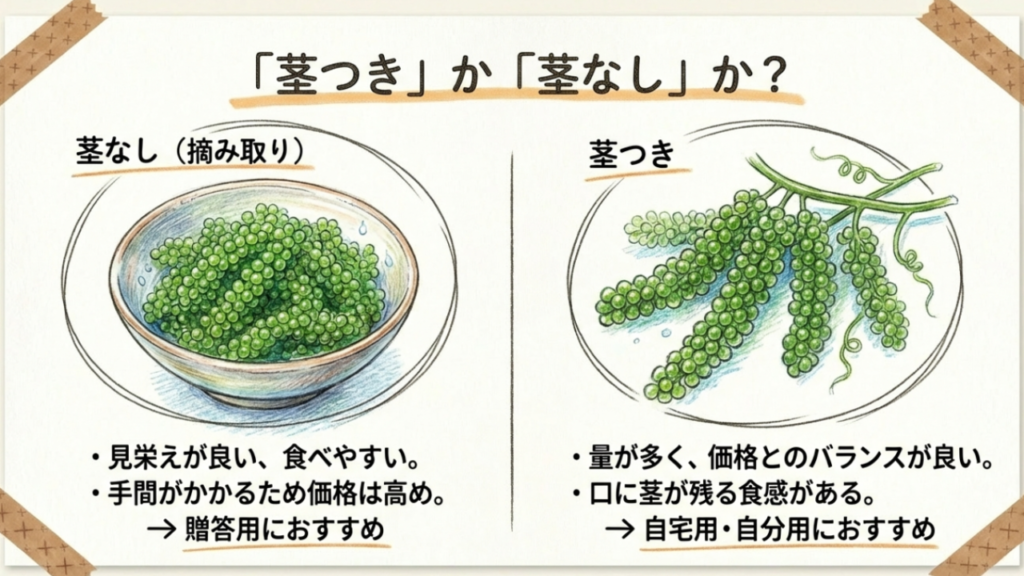 海ぶどうの茎つきと茎なしの違い。贈答用と自宅用の使い分け