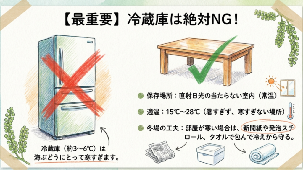 海ぶどうは冷蔵庫禁止。15度以下でしぼむため常温保存が鉄則
