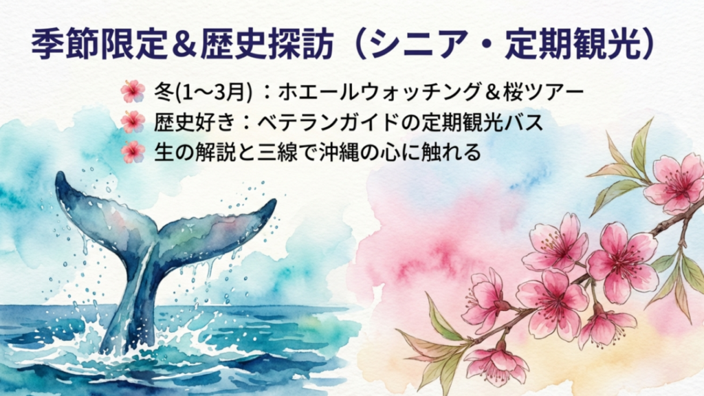 1月から3月限定のホエールウォッチング＆桜ツアーと、ベテランガイドによる定期観光バスの紹介
