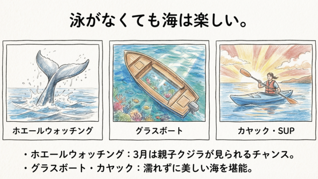泳がない沖縄の楽しみ方：ホエールウォッチング、グラスボート、カヤックのイラスト