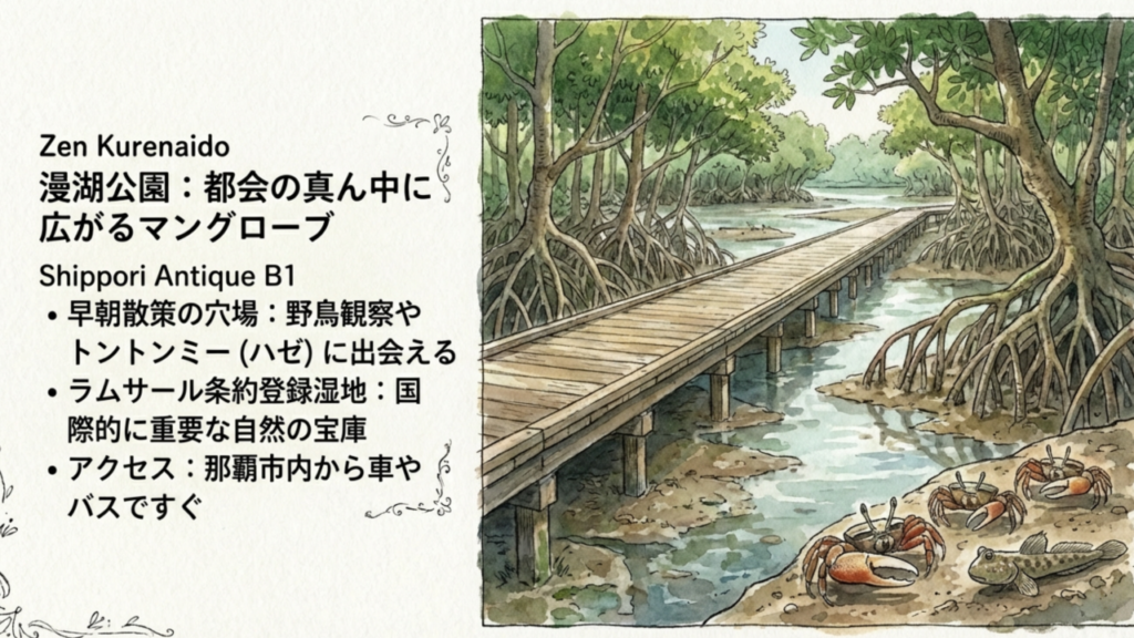 漫湖公園:都会のマングローブ 漫湖公園のマングローブ林と木道の風景