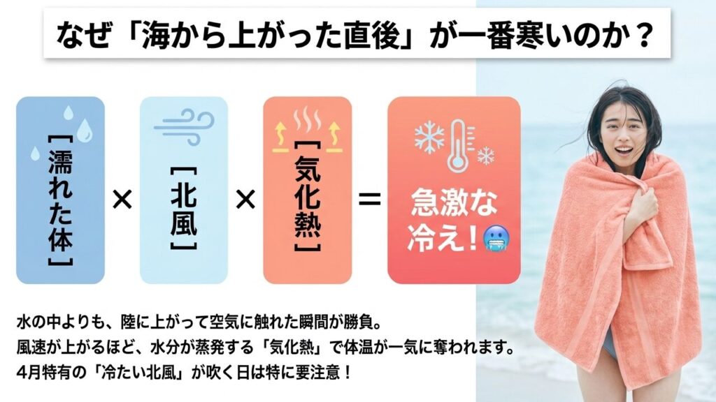 気化熱による急激な冷えの仕組み 海上がり直後が一番寒い理由:気化熱と北風