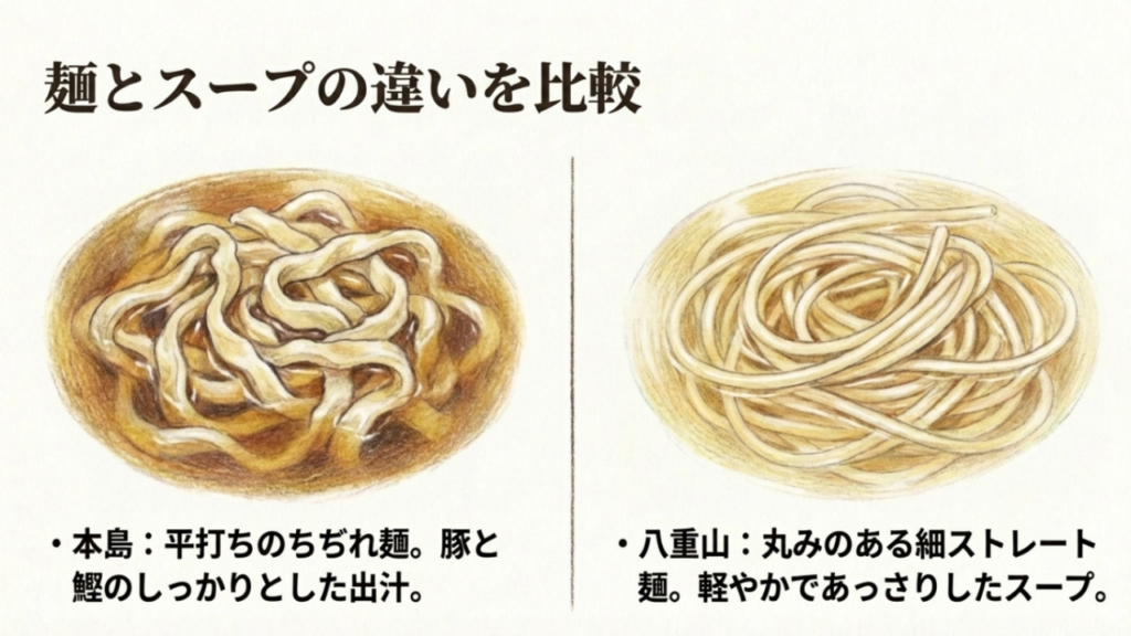 沖縄本島の平打ちちぢれ麺と八重山の丸みのある細ストレート麺の比較図
