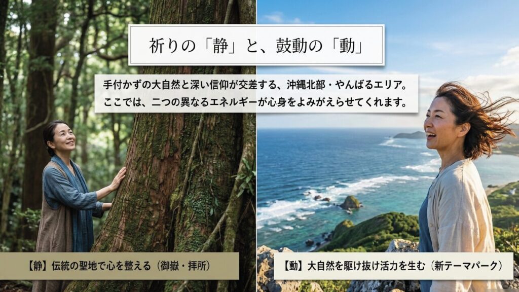 やんばるの静と動のエネルギー 02 okinawa north powerspot