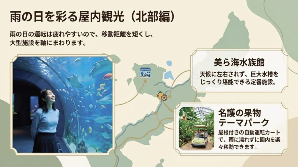 雨の日を彩る屋内観光 北部編 美ら海水族館とフルーツパーク