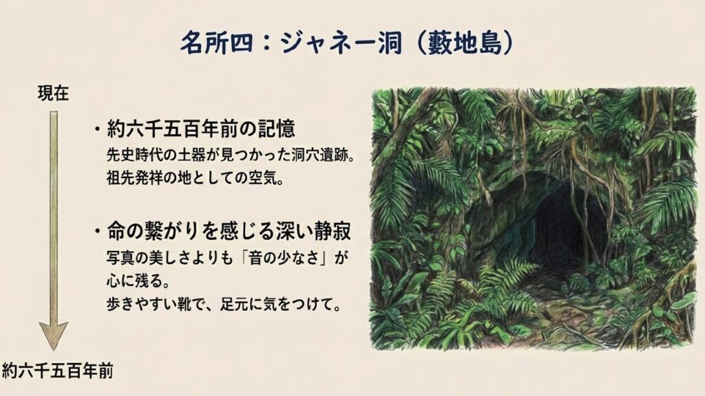 藪地島 ジャネー洞 藪地島の深い静寂に包まれた約6500年前のジャネー洞