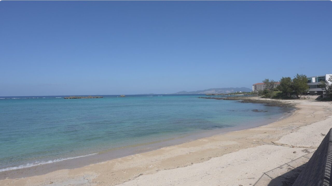 なかむらそばの道路向かいに広がる青い海と砂浜